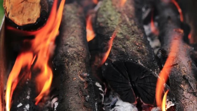 Charred wood in the fire. Burning wood in flames.