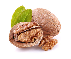 Walnuts with leaves