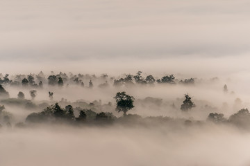 Fog and clouds over Pai District Mae Hong Son, THAILAND. View from Yun Lai Viewpoint is located about 5 km to the West of Pai town centre above the Chinese Village.