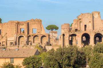 Fototapeta premium Rome, Italy. View of the ancient ruins of the imperial palaces on Palatine Hill