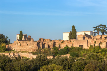 Rome, Italy. Ancient ruins on the Palatine Hill