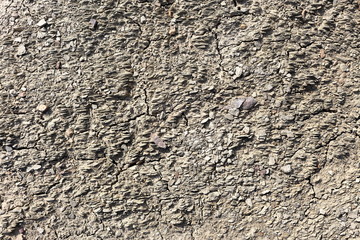 dried soil closeup texture