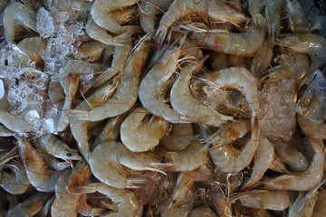 Fresh shrimp texture