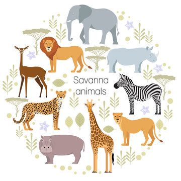 African animals elephant, rhino, giraffe, cheetah, zebra lion hippo isolated Savanna Vector illustration