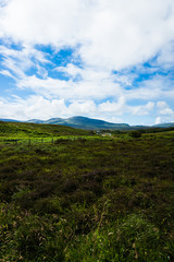 Fototapeta na wymiar Island of Skye nature
