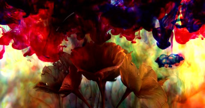 Adding color to spring blossom. Let Spring Begin!