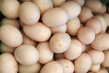 Duck eggs background
