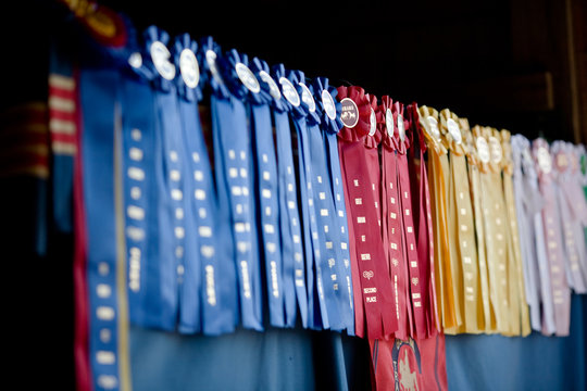 Row of show ribbons