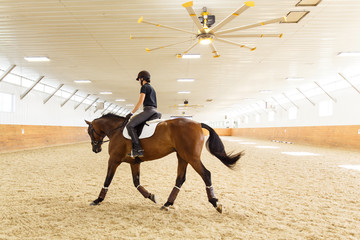 Young woman riding horse in arena