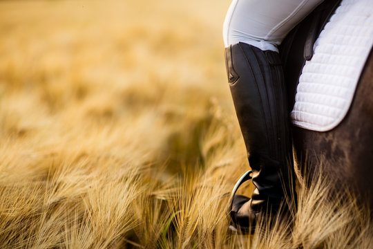 Close up of horse riders boot in stirrup in a wheat field