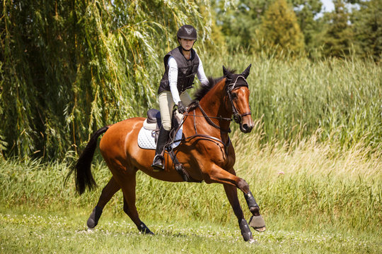 Woman riding horse in a field