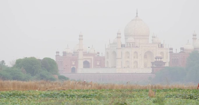 Kakri (Indian Cucumber), and Ghiya (Bottle Gourd) farmers work with the Taj Mahal as their backdrop