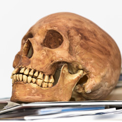 Aged human skull sitting on books isolated on white
