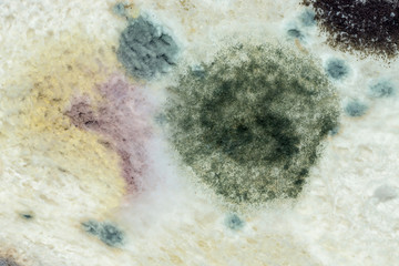 Macro picture of Mold color on the bread.