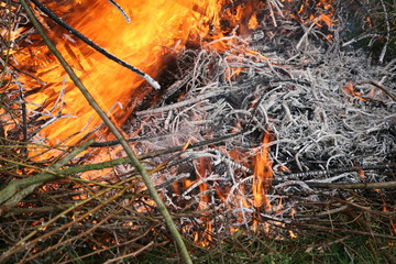 fire