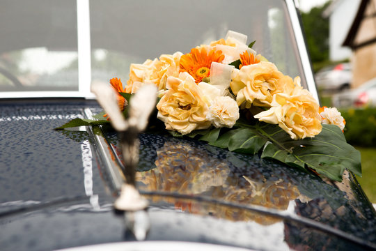 157 BESTE "Gelbe Rosen" BILDER, STOCK-FOTOS & -VEKTORGRAFIKEN | Adobe Stock