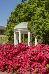 Gorgeous deep pink azaleas in front of the old well with a shallow depth of field with focus on the flowers