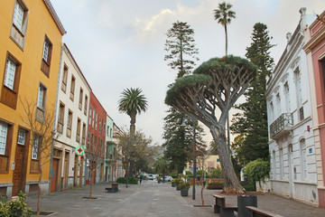 San Cristóbal de La Laguna, Tenerife