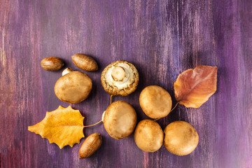 Portobello mushrooms with autumn leaves and pecan nuts
