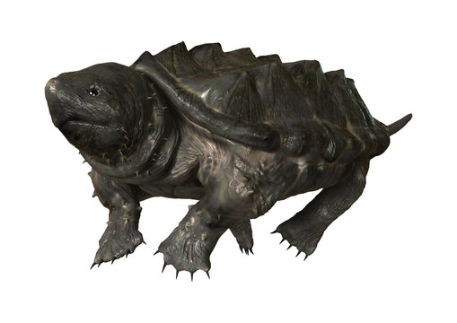 3D Rendering Alligator Snapping Turtle on White