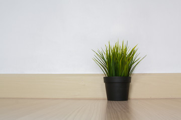 plant in flower pot on shelf against rustic wooden wall
