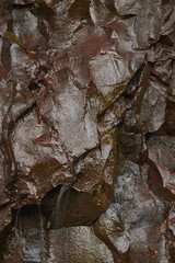 blasted rock wall, Lehigh Gorge State Park, Rockport, Carbon County, Pennsylvania, USA