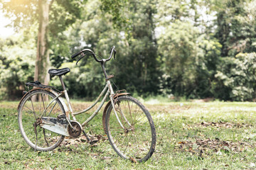 Old bicycle in the forest.