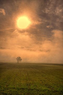 Fr&uuml;hnebel bei Sonnenaufgang