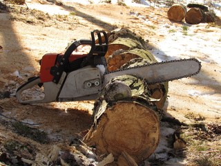 Preparation of firewood for the Bath