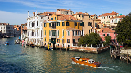 Venice Grand canal Palazia. Italy
