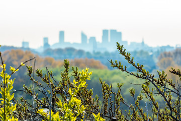 Modern city rising out of natural landscape