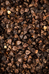 Buckwheat Closeup Detail and in a Bowl
