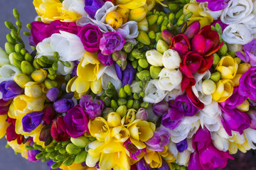 colorful bouquet of freesia photographed from above