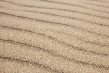 Fototapeta na wymiar Sand ripples forming a wave pattern in beach sand