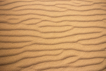 Sand ripples forming a wave pattern in beach sand