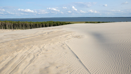 Rippled wave pattern in the sand in the Moving Dunes National Park in Poland