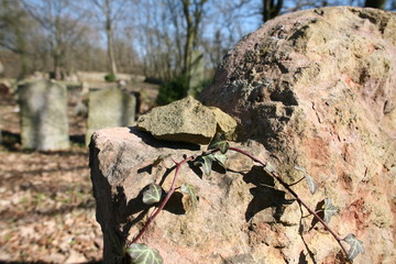 old jewish cemetery