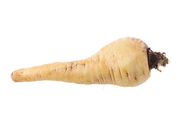Fresh parsnip roots on a white background