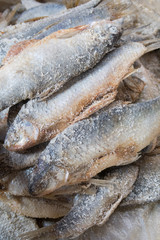 Dried fish in the market
