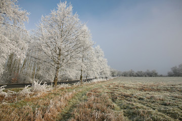 frosty winter day