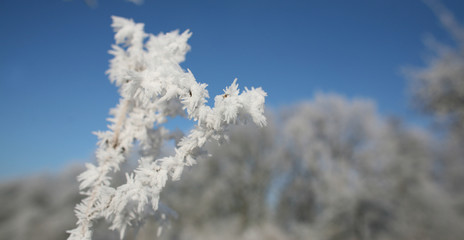 frosty winter day