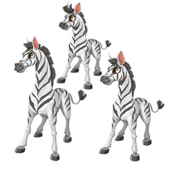 Cartoon Zebra on white background. Vector animal