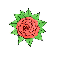 Hand drawn watercolor and ink pink rose with leaves isolated on the white background. Vector.