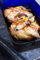 delicious chicken with lemon