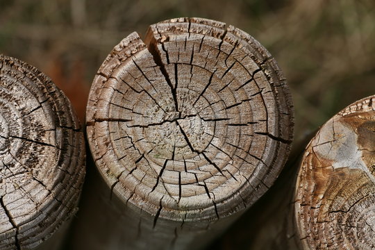wooden columns