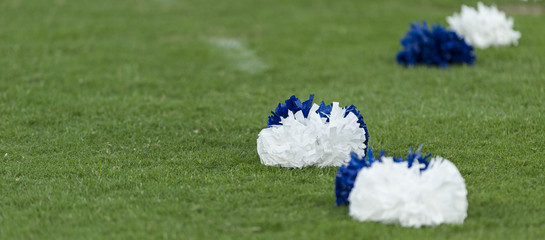 Blue and white cheerleading spirit pom poms on grass field