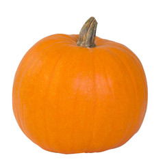 Perfect orange pumpkin with stem isolated on white