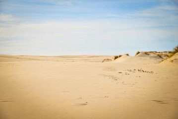 Moving colorful sand dunes in a sunny day