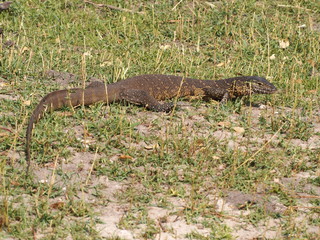Botswana