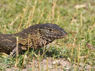 Botswana